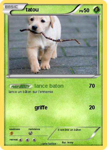 Pokemon tatou