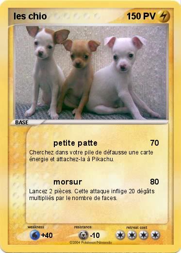 Pokemon les chio