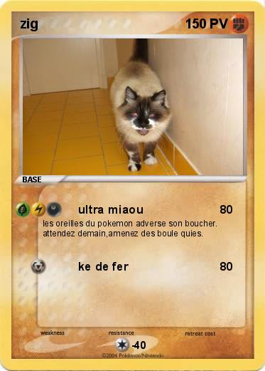Pokemon zig