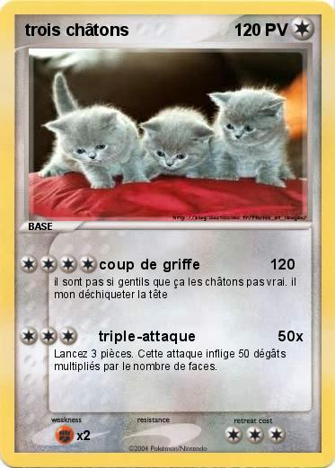 Pokemon trois châtons 