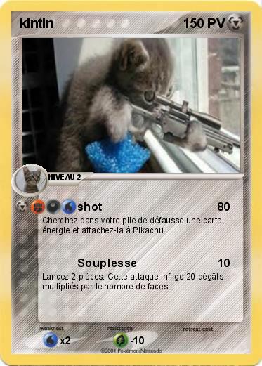 Pokemon kintin