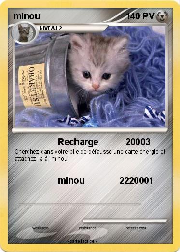 Pokemon minou