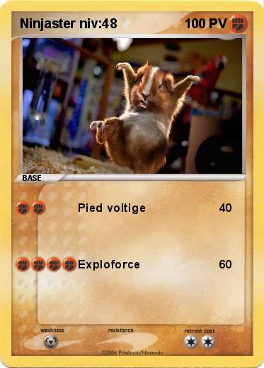 Pokemon Ninjaster niv:48