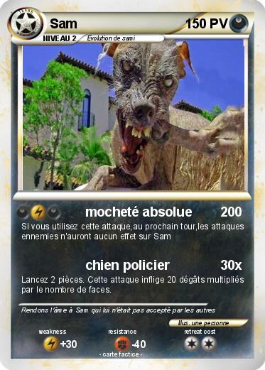 Pokemon Sam