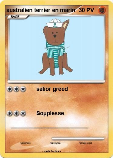 Pokemon australien terrier en marin