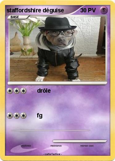 Pokemon staffordshire déguise
