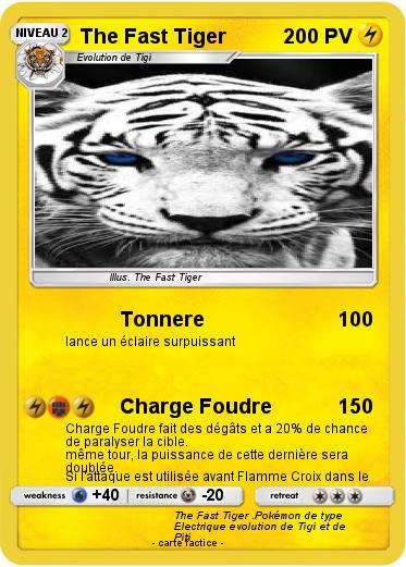 Pokemon The Fast Tiger