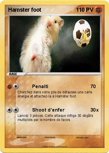 Pokemon Hamster foot