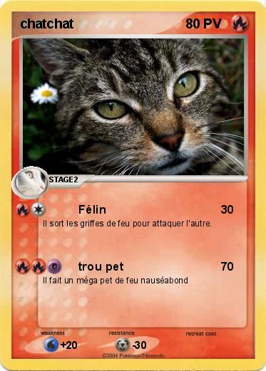 Pokemon chatchat