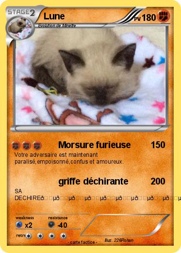 Pokemon Lune