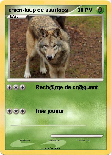 Pokemon chien-loup de saarloos