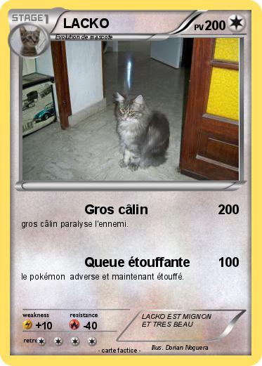 Pokemon LACKO