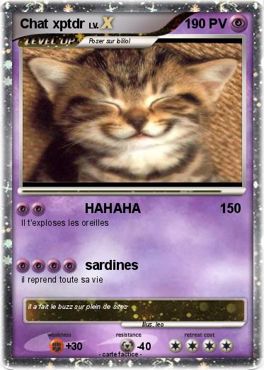 Pokemon Chat xptdr