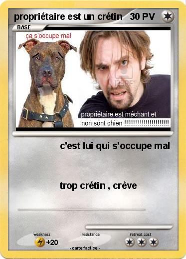 Pokemon propriétaire est un crétin