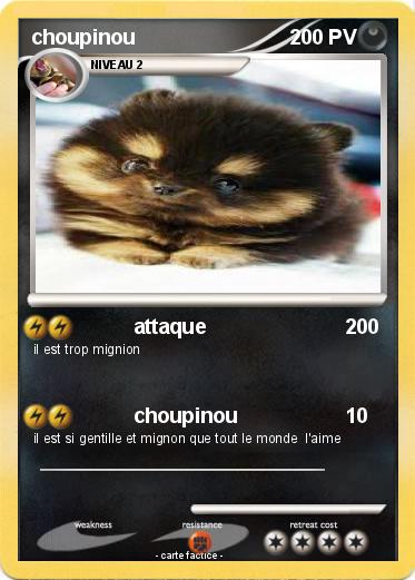 Pokemon choupinou