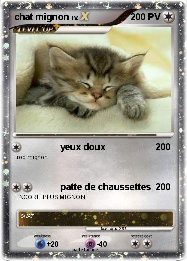 Pokemon chat mignon