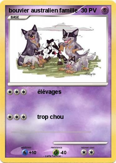 Pokemon bouvier australien famille