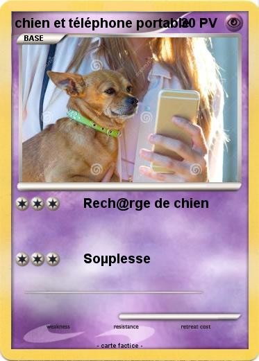 Pokemon chien et téléphone portable