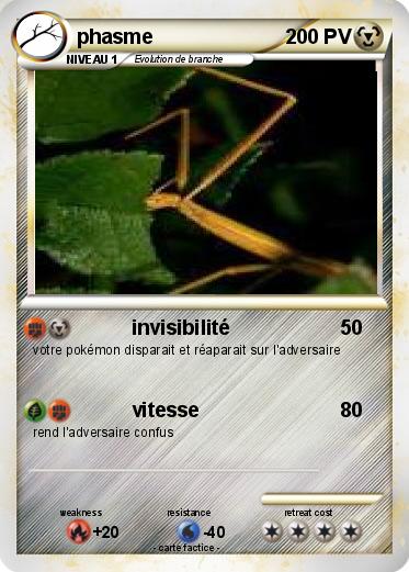 Pokemon phasme