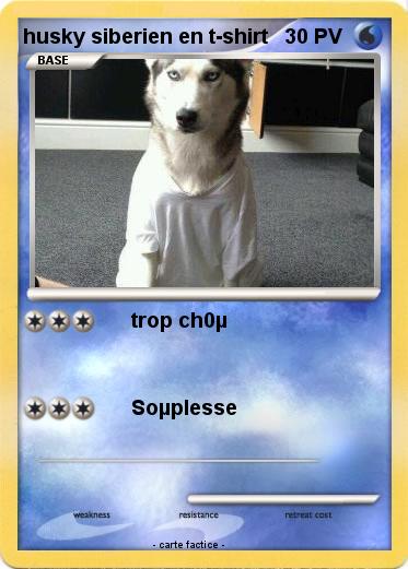 Pokemon husky siberien en t-shirt