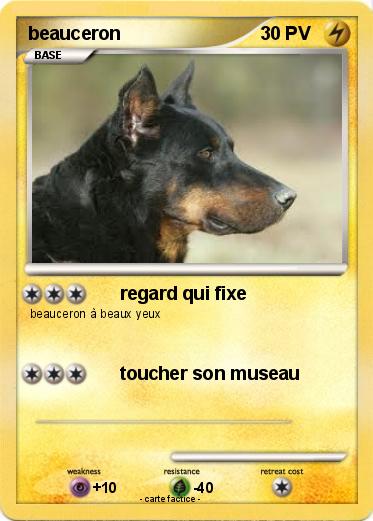 Pokemon beauceron