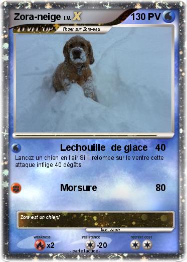 Pokemon Zora-neige