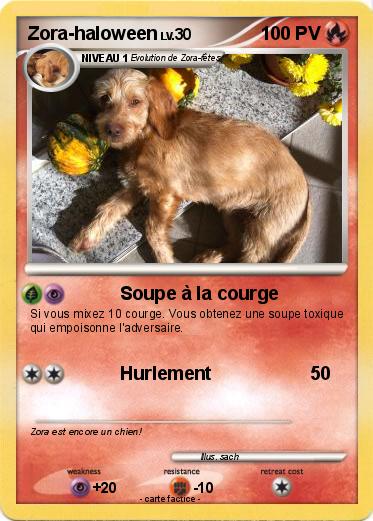 Pokemon Zora-haloween