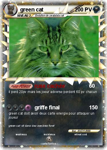 Pokemon green cat