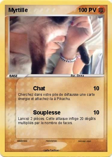 Pokemon Myrtille