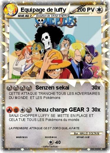Pokemon Equipage de luffy