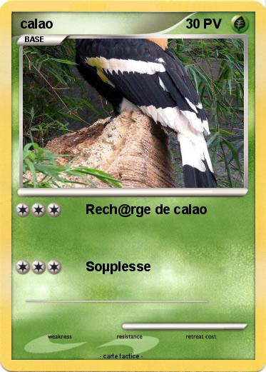 Pokemon calao