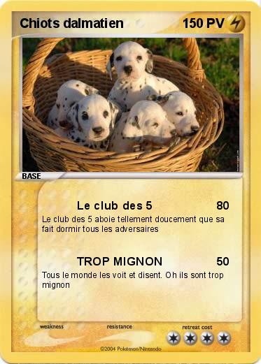 Pokemon Chiots dalmatien
