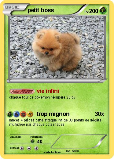 Pokemon petit boss