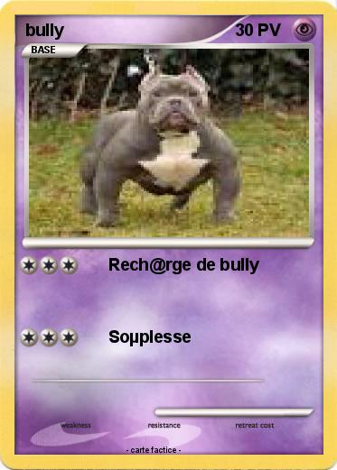 Pokemon bully