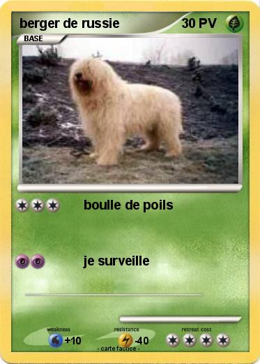 Pokemon berger de russie