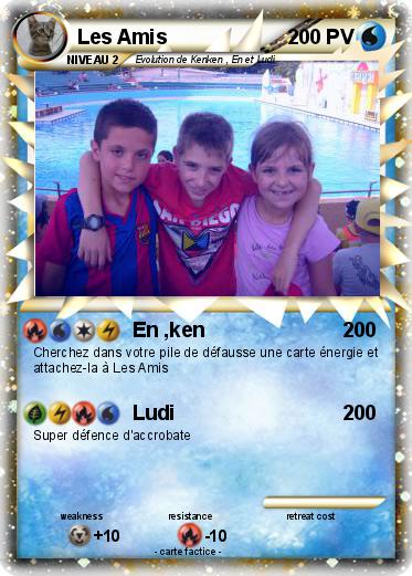 Pokemon Les Amis