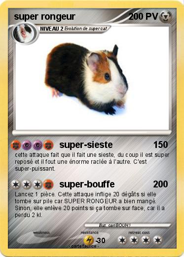 Pokemon super rongeur
