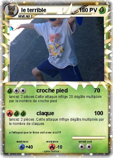 Pokemon le terrible
