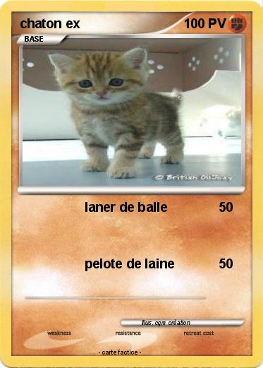 Pokemon chaton ex