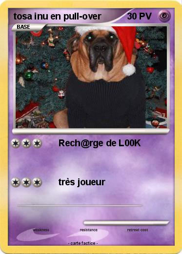 Pokemon tosa inu en pull-over