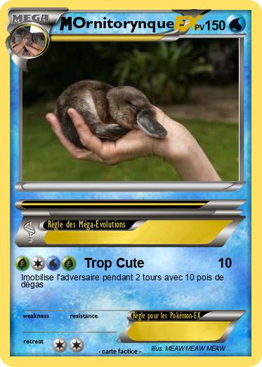 Pokemon Ornitorynque