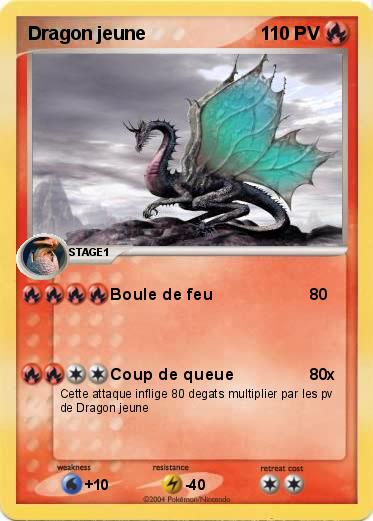 Pokemon Dragon jeune