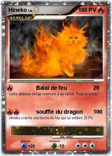 Pokemon Hineko