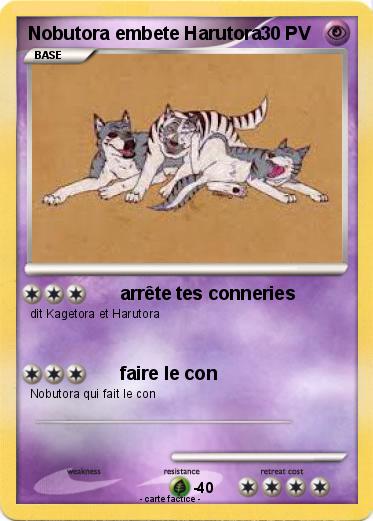Pokemon Nobutora embete Harutora