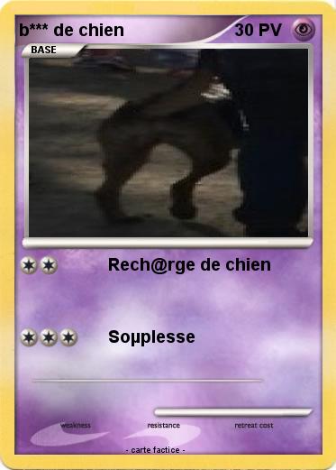 Pokemon b*** de chien