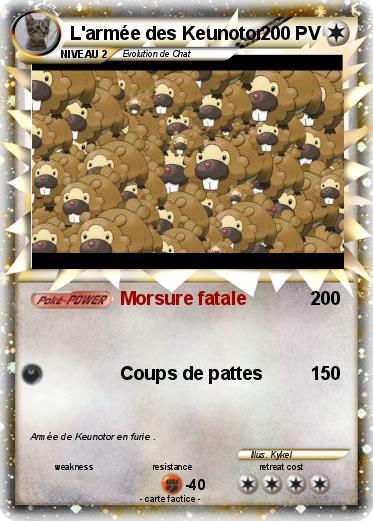 Pokemon L'armée des Keunotor