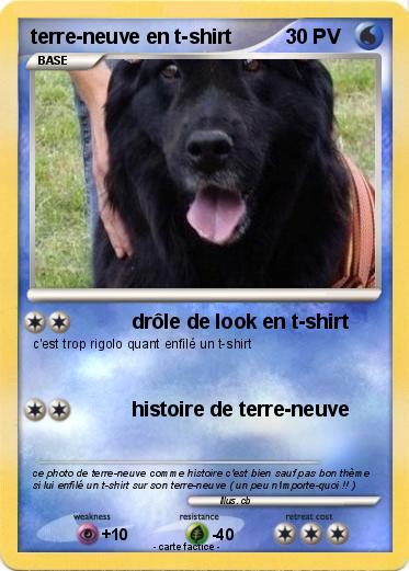 Pokemon terre-neuve en t-shirt