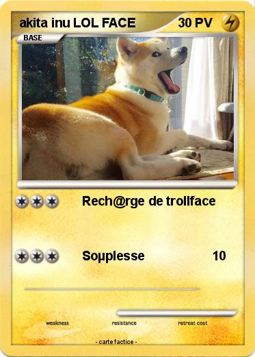 Pokemon akita inu LOL FACE