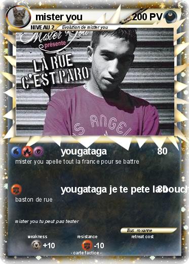 Pokemon mister you