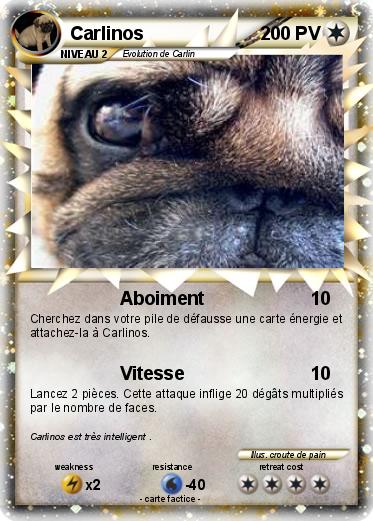 Pokemon Carlinos